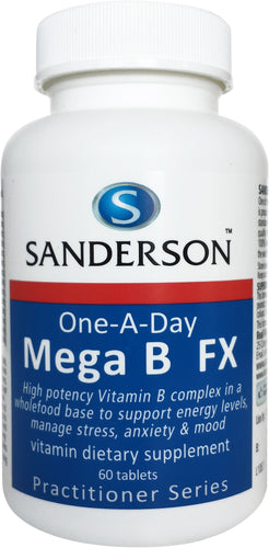 메가 B FX 비타민 B 복합 정제